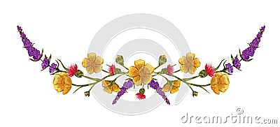 Wild flowers,wild flowers. Watercolor illustration on a white background Cartoon Illustration