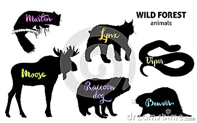 Wild forest animals set. Moose, marten, lynx, raccoon dog, beaver, viper Vector Illustration