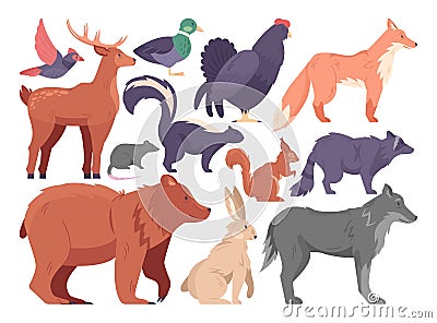 Wild forest animals set. Woodland mammals and birds collection. Deer, bear Vector Illustration