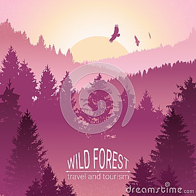 Wild forest. Sunrise, mountains, pine and spruce. Eagles, and birds in flight. Tourism and travel. Camping. The horizon line in th Vector Illustration