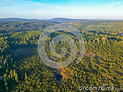 Wild forested and wet moorland from above Stock Photo