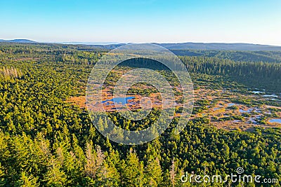 Wild forested and wet moorland from above Stock Photo