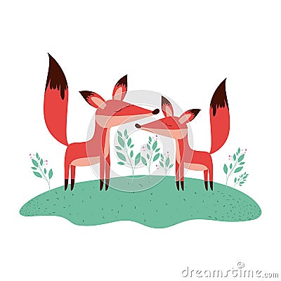 Wild foxes couple in the field Vector Illustration
