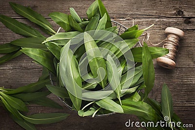 Wild garlic leafs Stock Photo