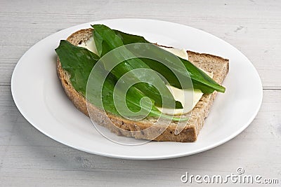 Wild garlic leaves (bear's garlic) on sourdough bread Stock Photo