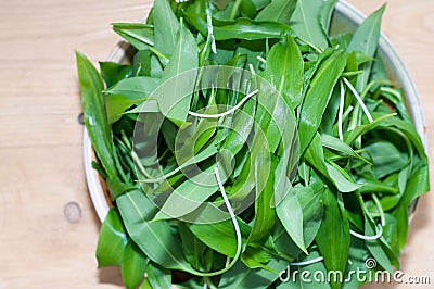 Wild garlic, ramsons on wooden table Stock Photo