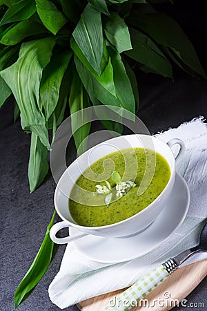 Wild garlic soup Stock Photo