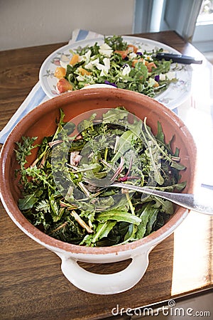 Wild grass salad Stock Photo