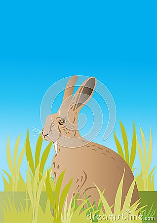 Wild hare in a meadow Cartoon Illustration