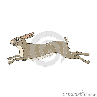 Wild hare running realistic Vector Illustration