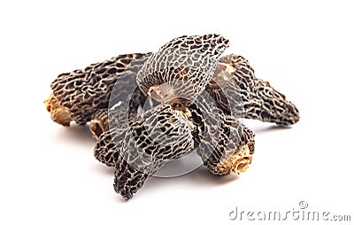 Wild Harvested Morel Mushrooms Trimmed and Dried on a White Background Stock Photo