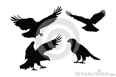 Wild Hawk vector design on a white background. Hawks flying silhouette bundle design. Wild Falcon flying silhouette set vector. Vector Illustration