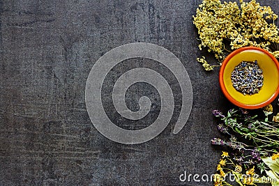 Wild and Healing herbs Stock Photo