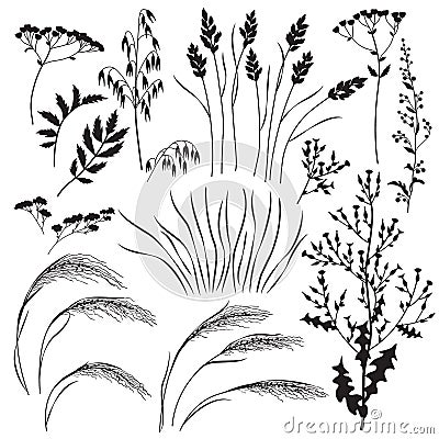 Wild Herbs and Cereals Silhouette Set Vector Illustration