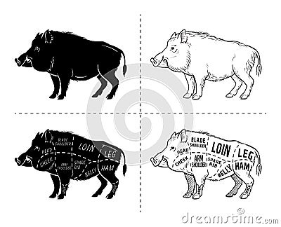 Wild hog, boar game meat cut diagram scheme - elements set on chalkboard Vector Illustration