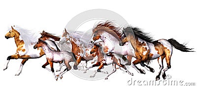 Wild horses Stock Photo