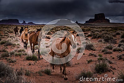 Wild Horses Monument Valley Stock Photo