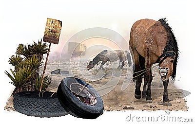 Wild horses- mustangs- Velma Bronn Johnston -hunting wild horses and burros Stock Photo