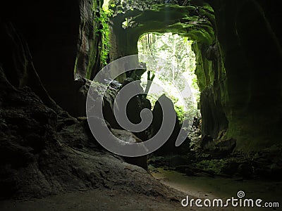 Wild jungle cave Stock Photo