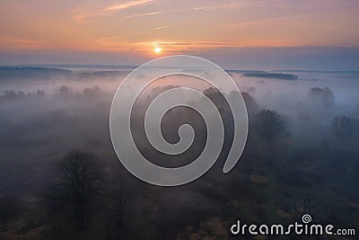 Wild jungle nature in mist at dawn from above. Autumn sunrise aerial view. Foggy nature in october morning Stock Photo
