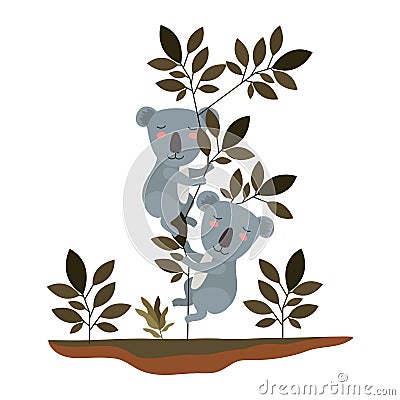 Wild koalas couple in the jungle Vector Illustration