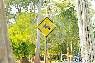 Wild life animals street sign view through the tree Stock Photo