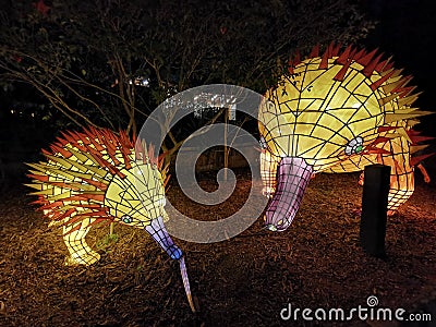 Wild Lights at Taronga zoo, Sydney Australia Editorial Stock Photo