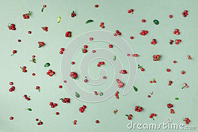 Wild lingonberry pattern on green background. Top view. Summer berries texture. Stock Photo