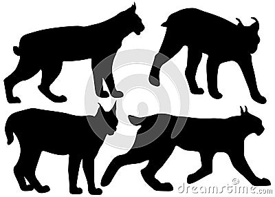 Wild lynx in the set. Vector Illustration