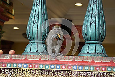 wild monkeys at batu cave temple Ã­n kuala lumpur Stock Photo