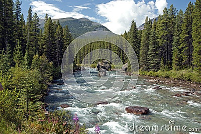 Wild mountain river Stock Photo