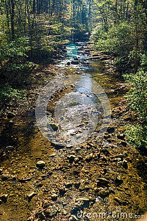 Wild Mountain Trout Stream Stock Photo