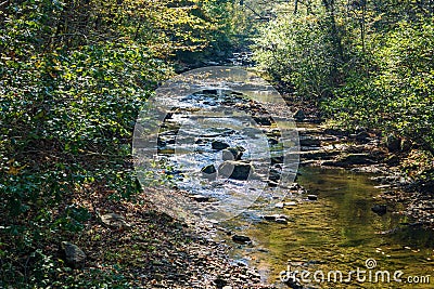 Wild Mountain Trout Stream Stock Photo