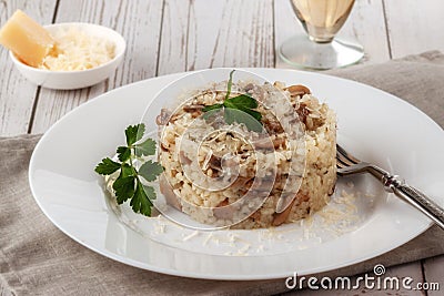 Wild mushroom risotto with parsley and parmesan on a white wooden background Stock Photo