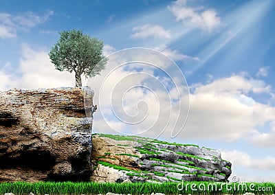 Wild nature, mountain landscape, girl doing free climbing on a steep wall. Olive tree on rough terrain Stock Photo