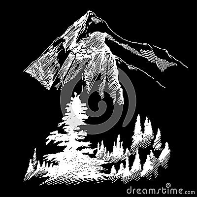 Wild nature Mountain Wood Trees North landscape Vector Illustration