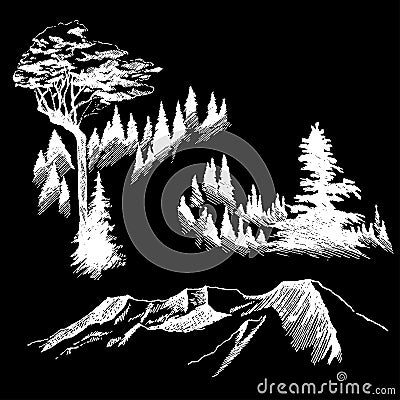 Wild nature Mountain Wood Trees North landscape Vector Illustration