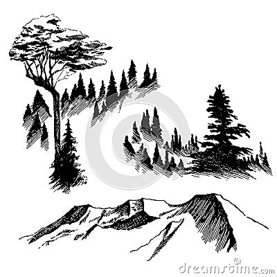 Wild nature Mountain Wood Trees North landscape Vector Illustration