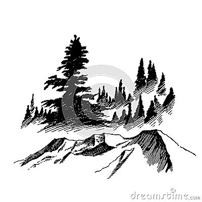 Wild nature Mountain Wood Trees North landscape Vector Illustration