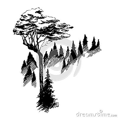 Wild nature Mountain Wood Trees North landscape Vector Illustration