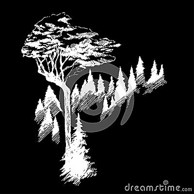 Wild nature Mountain Wood Trees North landscape Vector Illustration