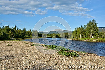 The wild northern river. Stock Photo