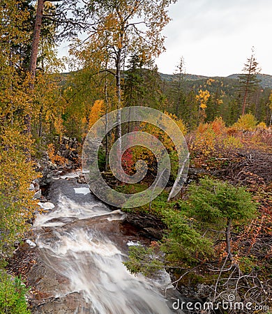 A wild Norwegian stream, during the picturesque autumn colors, near Rjukan Stock Photo