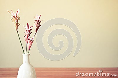 Wild orchids Stock Photo