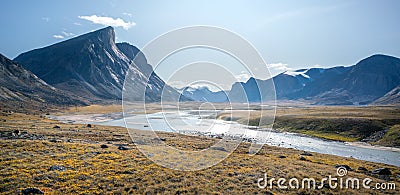 Wild Owl River winds through remote arctic landscape in Akshayuk Pass, Baffin Island, Canada. Moss valley floor and Stock Photo