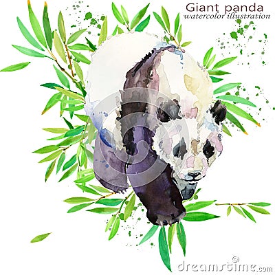 Panda hand draw watercolor illustration. Cartoon Illustration