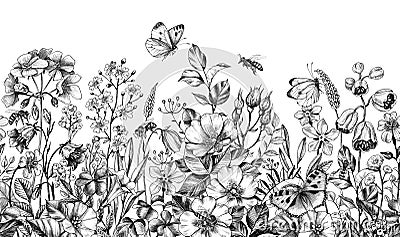Wild Plants and Insects Seamless Border Stock Photo