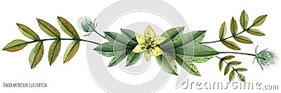 Wild Plants watercolor vignette Vector Illustration