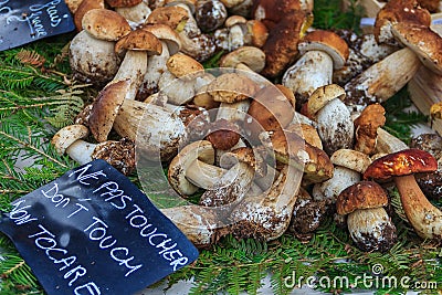 Wild porcini at the farmers market in Nice France Stock Photo