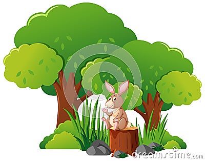 Wild rabbit in the forest Vector Illustration